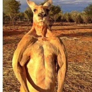 Meet your Posher, Casey